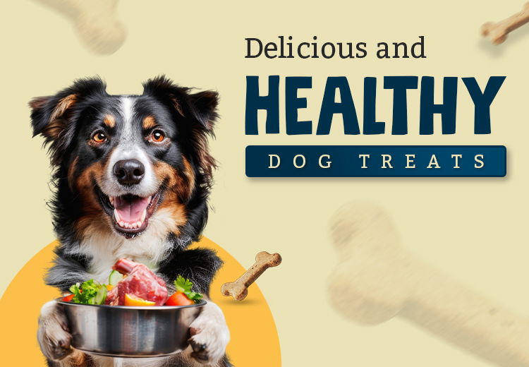 Delicious & Healthy Dog Treats